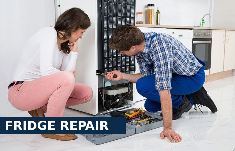 Fridge Repair Farningham